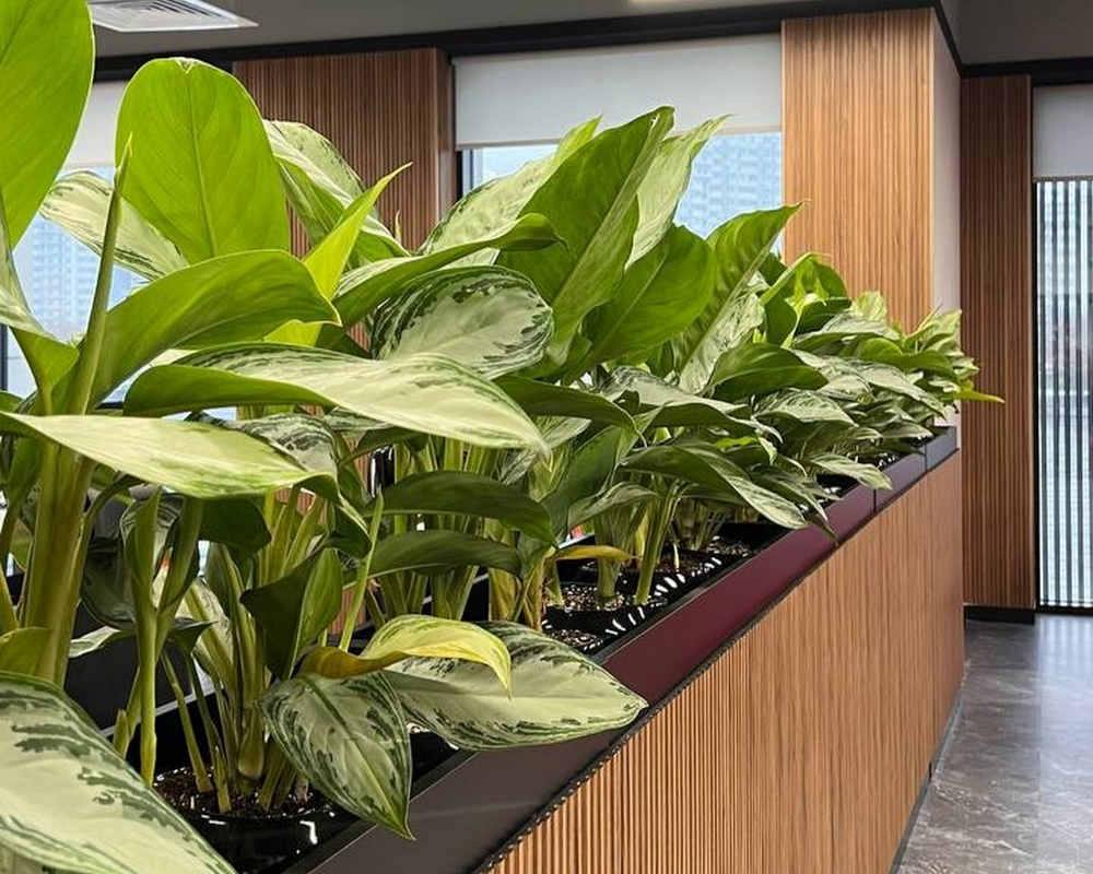 Панель МДФ ACUPAN 61.08.122507.95 трубки 12х122х2760 мм Эльм натуральный